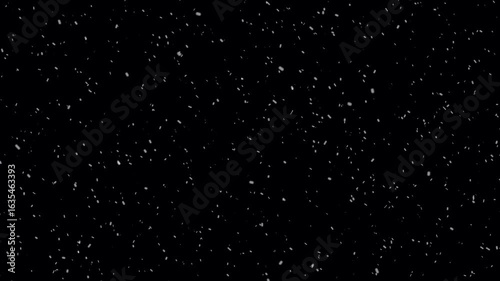 Nature snow falling on black background. Small snow flakes over dark night. Realistic snow fall overlay- Snow flakes slowly falling densely across a black background. Snow falling a new year winter.