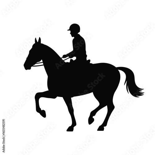Silhouette of a rider on a horse in motion