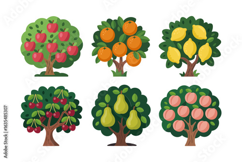 Orchard fruit tree collection, apple pear cherry vector, garden tree illustration, fruit harvest set, colorful tree icons