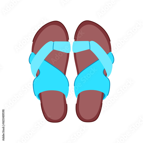 slides beach footwear cartoon vector illustration