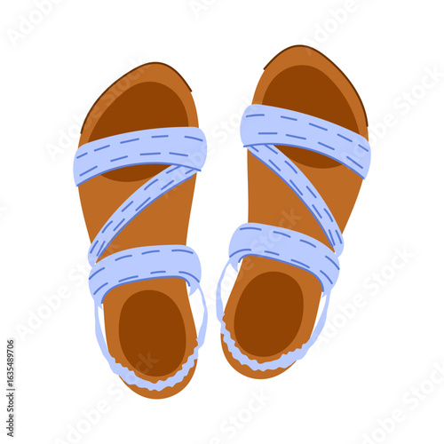 clogs beach footwear cartoon vector illustration