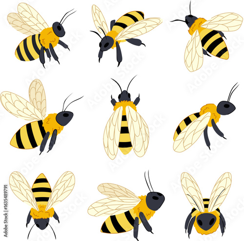 bee set cartoon vector illustration