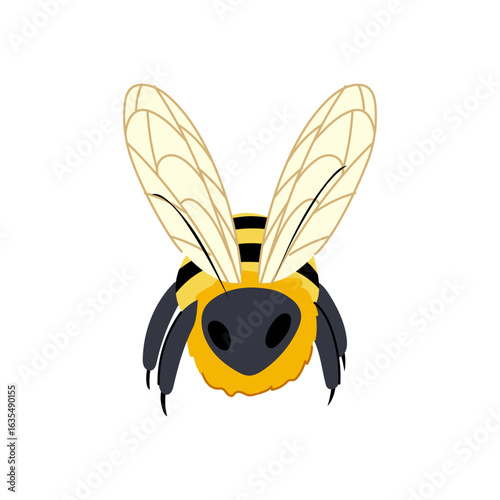 wax bee cartoon vector illustration