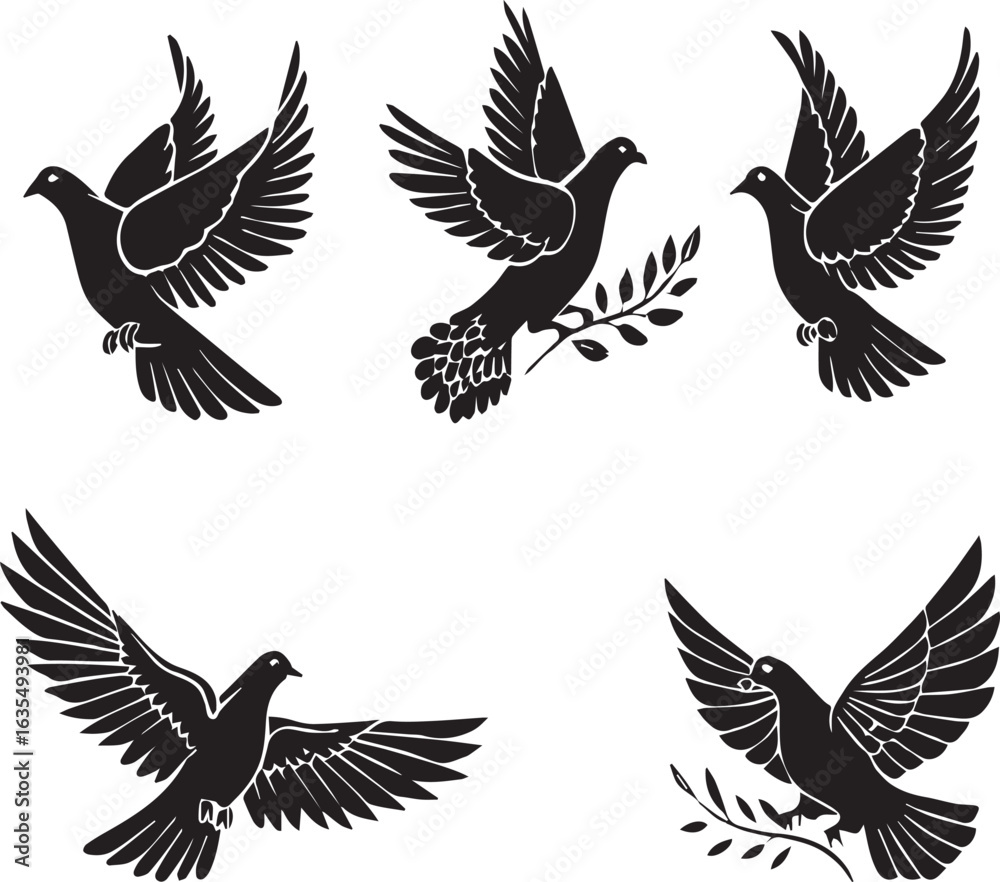 Fototapeta premium set of pigeon 