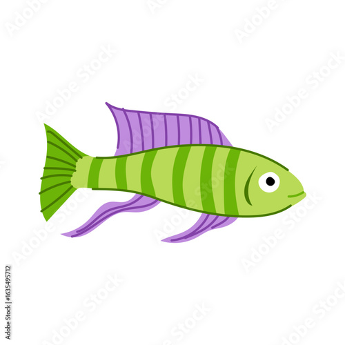 discus decorative fish cartoon vector illustration