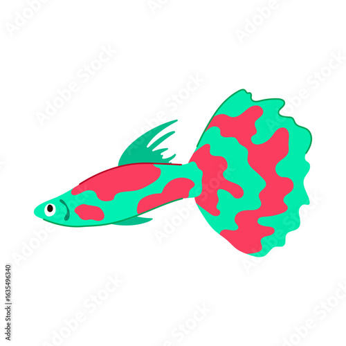 discus exotic fish cartoon vector illustration
