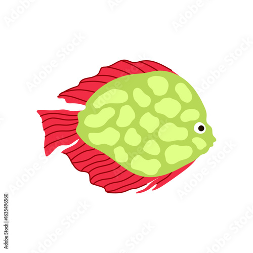 pleco exotic fish cartoon vector illustration