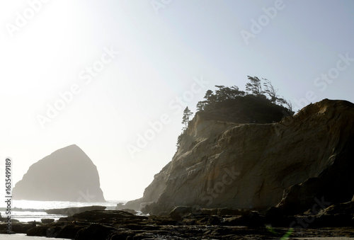Wallpaper Mural rock in the sea, rocks, trees, and the sea, eerie scene on the beach, Oregon seascape Torontodigital.ca