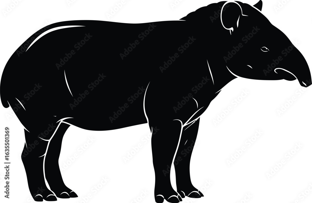 Fototapeta premium Silhouette of a tapir, vector illustration for wildlife and conservation designs, tropical animal