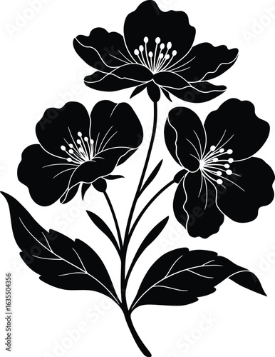 vibrant crisp clean stylish elegant modern detailed professional high quality Floral Silhouette on Transparent Background