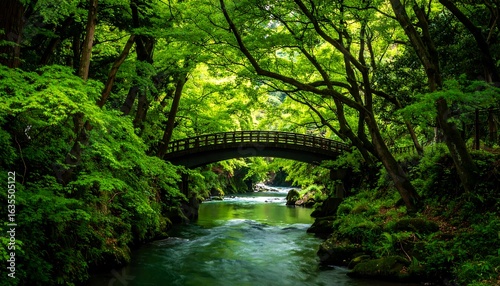 Fototapeta Naklejka Na Ścianę i Meble -  Lush forest stream with arched bridge
