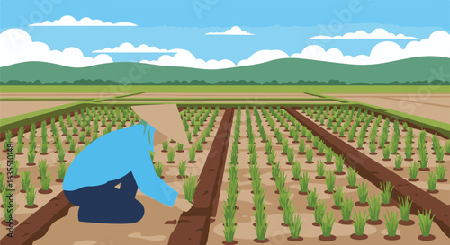 Traditional Asian farmer planting rice in a lush green paddy field, an agricultural landscape vector illustration.