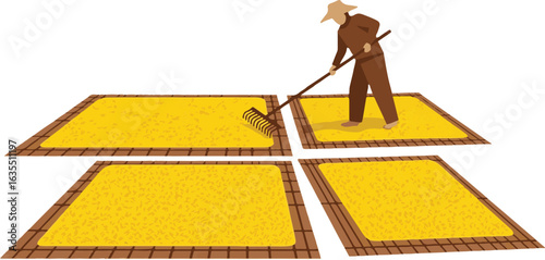 Illustration of an Asian farmer drying harvested yellow grain on mats. A traditional agricultural process after the harvest.