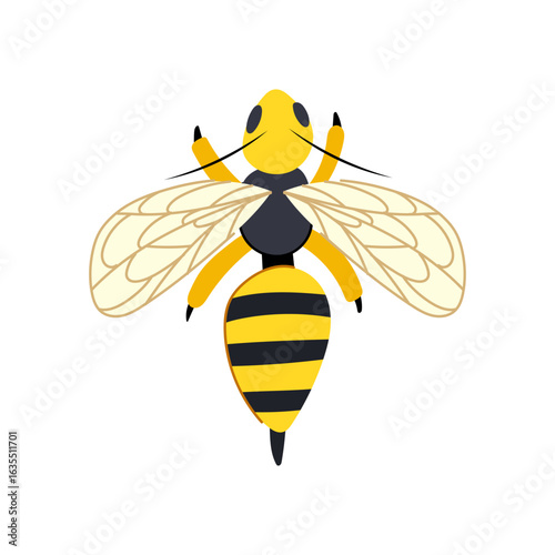 acrobatics wasp cartoon vector illustration