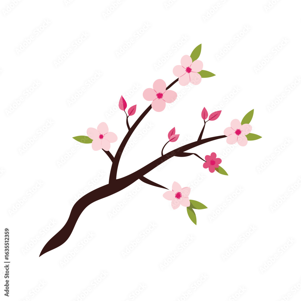 Fototapeta premium Watercolor cherry blossom branch on white background for nature or Japanese culture designs
