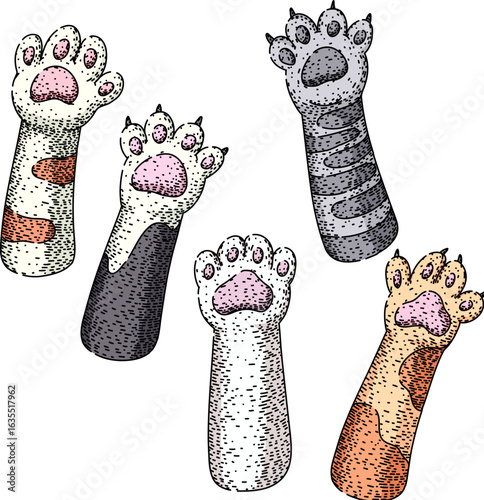cat paw set sketch hand drawn vector