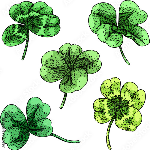 clover set sketch hand drawn vector