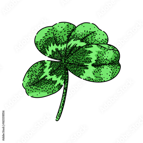 shamrock clover sketch hand drawn vector
