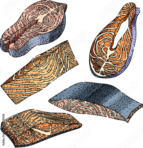 fish fillet set sketch hand drawn vector