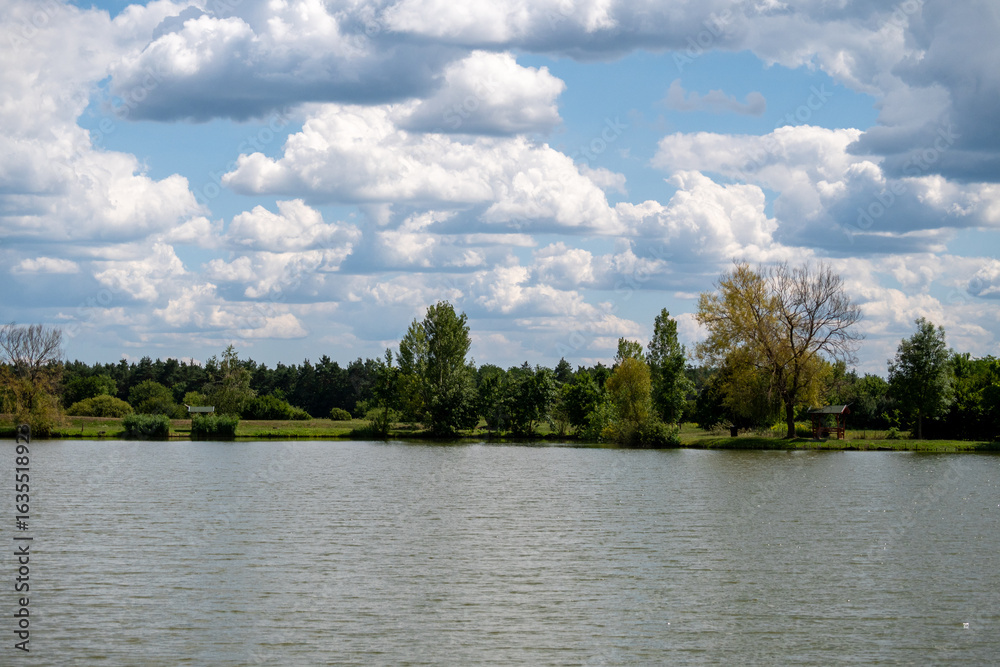 Obraz premium Scenic Lake Shore with Trees and Cloudy Blue Sky