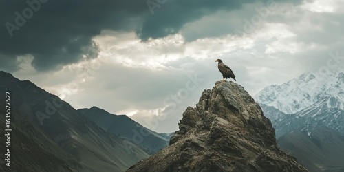 A remote wilderness where an eagle perches high, surveying its hunting ground