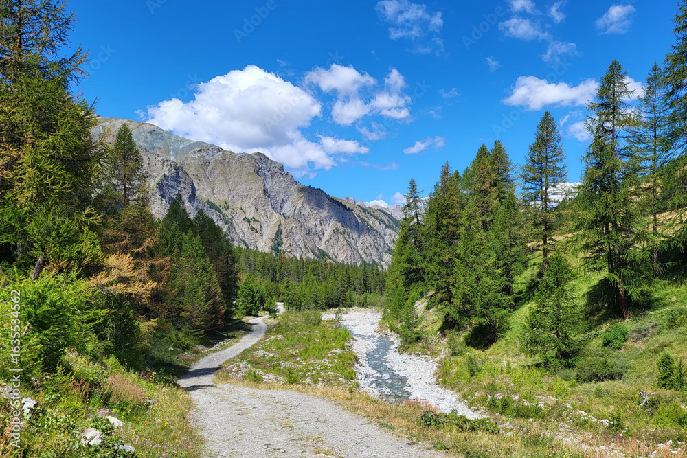Fototapeta premium Parc Régional du Queyras, Hautes-Alpes, France