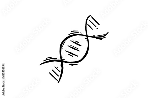 DNA genetic double helix hand drawn icon sketch vector illustration