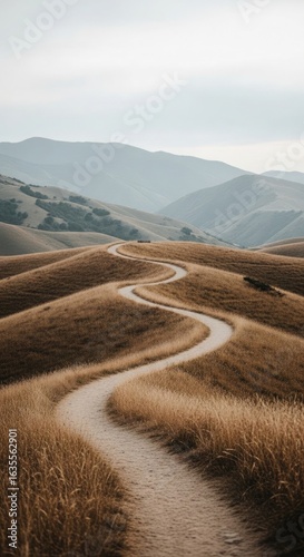 Winding dirt path through golden dry grass hills trail