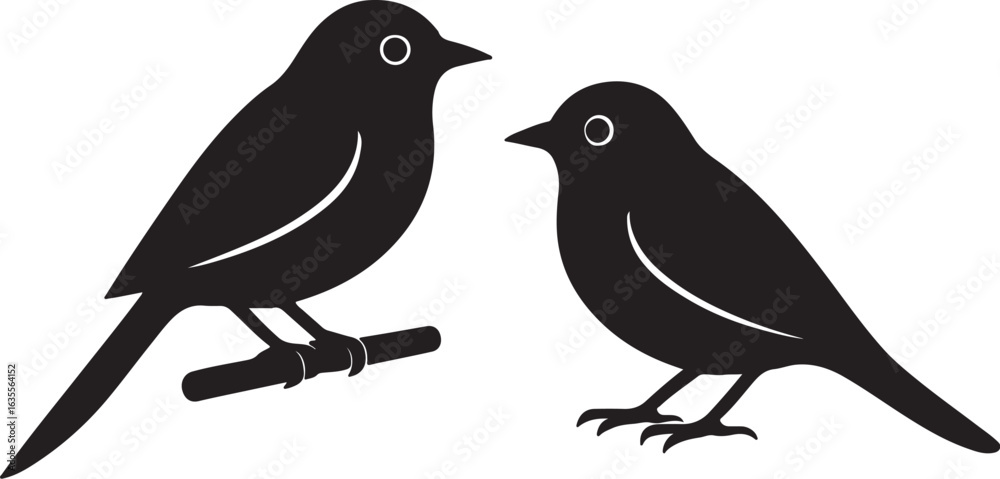 custom made wallpaper toronto digitaltame bird  পাখি 