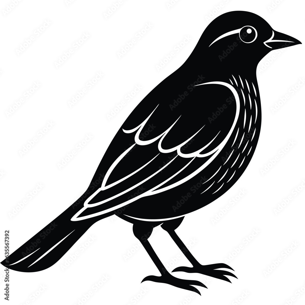 Obraz premium Bird Silhouette