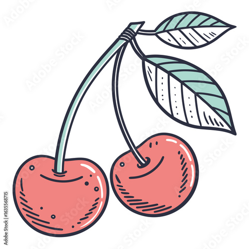 vector illustration of cherry
