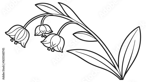 Elegant Bell Flower Line Art Illustration. Simple Outline Drawing of a Flowering Plant with Leaves. Botanical Monochrome Vector.
