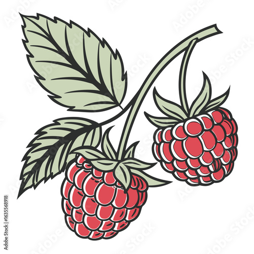 vector illustration of ripe raspberry