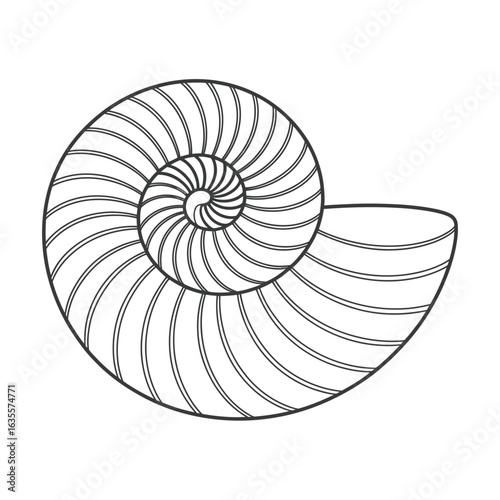 Stylized line drawing of a nautilus shell showing its spiral chambers