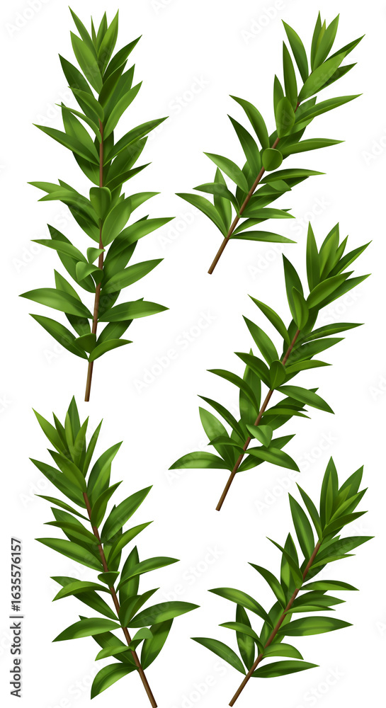 Obraz premium Realistic Green Leafy Branches on Transparent Isolated Background