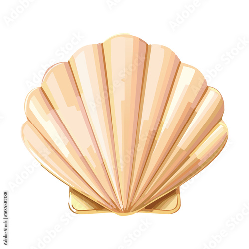 Beautiful Light Pink Fan Seashell