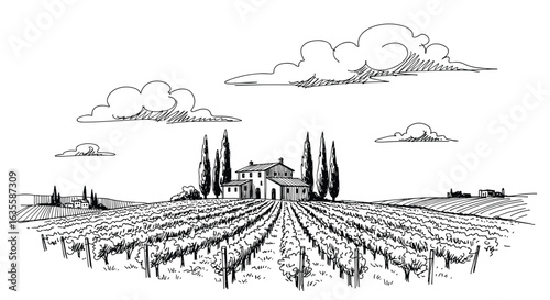 Idyllic italian vineyard landscape with a distant villa surrounded by cypress trees under a cloudy sky a beautiful rural countryside scene