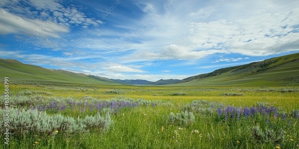 Obraz premium A vast meadow filled with tall grass and wildflowers moving with the wind