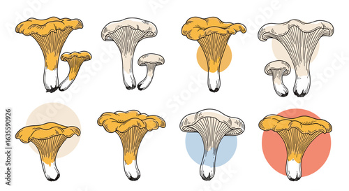 Collection of eight stylized chanterelle mushroom illustrations each displayed against a softly colored circle background