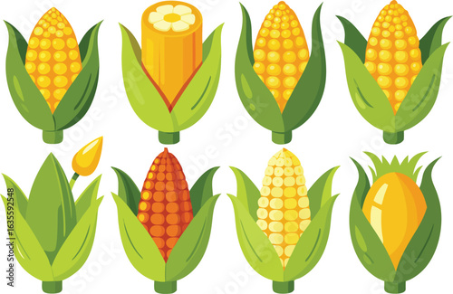 Collection of fresh corn on the cob with green husks