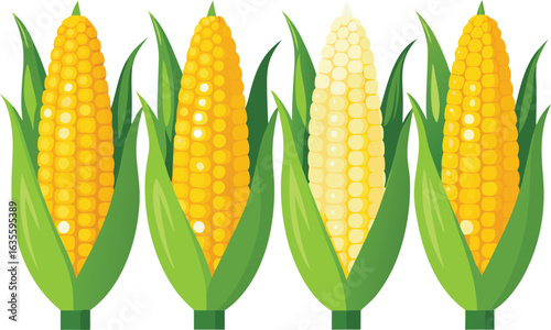 Four ears of corn with husks and green leaves on a white background