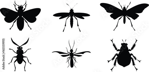 Vector art of collection of six different insect silhouettes isolated on white background