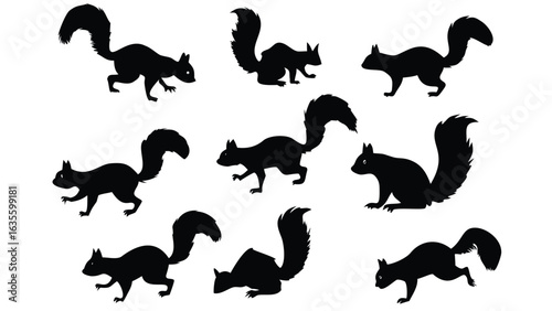 Vector art of collection of squirrel silhouettes isolated on white background