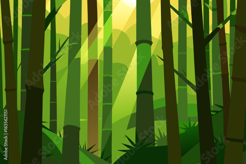 Sunlight filtering through a dense bamboo forest