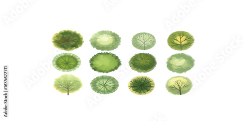 Print  set of tree top view for landscape plan and architecture element. Trees plan.