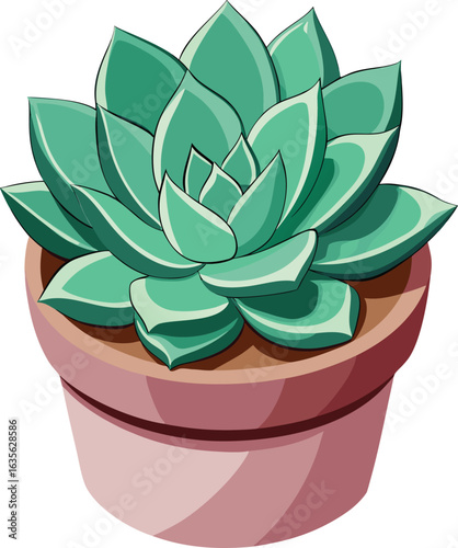 Echeveria succulent in ceramic pot