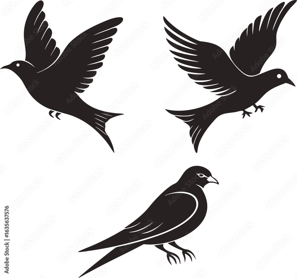 Fototapeta premium A set of vector bird silhouettes including a flying eagle, dove, and falcon for wildlife illustration design