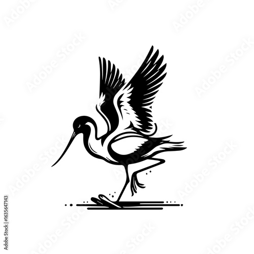 A wading bird with a long beak isolated on white background