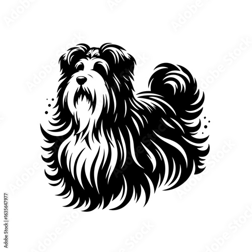 Illustration of a fluffy dog isolated on white background