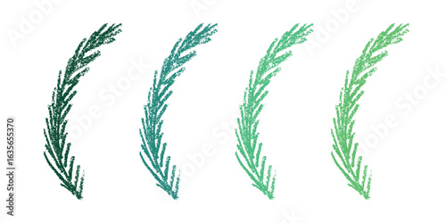 Set of hand drawn spruce branch clipart. Twig of coniferous tree doodle. Christmas and winter design element
